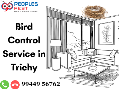 Best Bird Control Service in Trichy